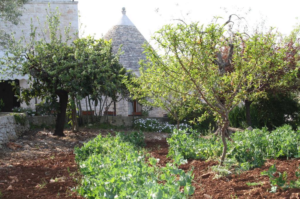 Il Trullo Di Nonna Lella Guest House Castellana Grotte Exterior photo